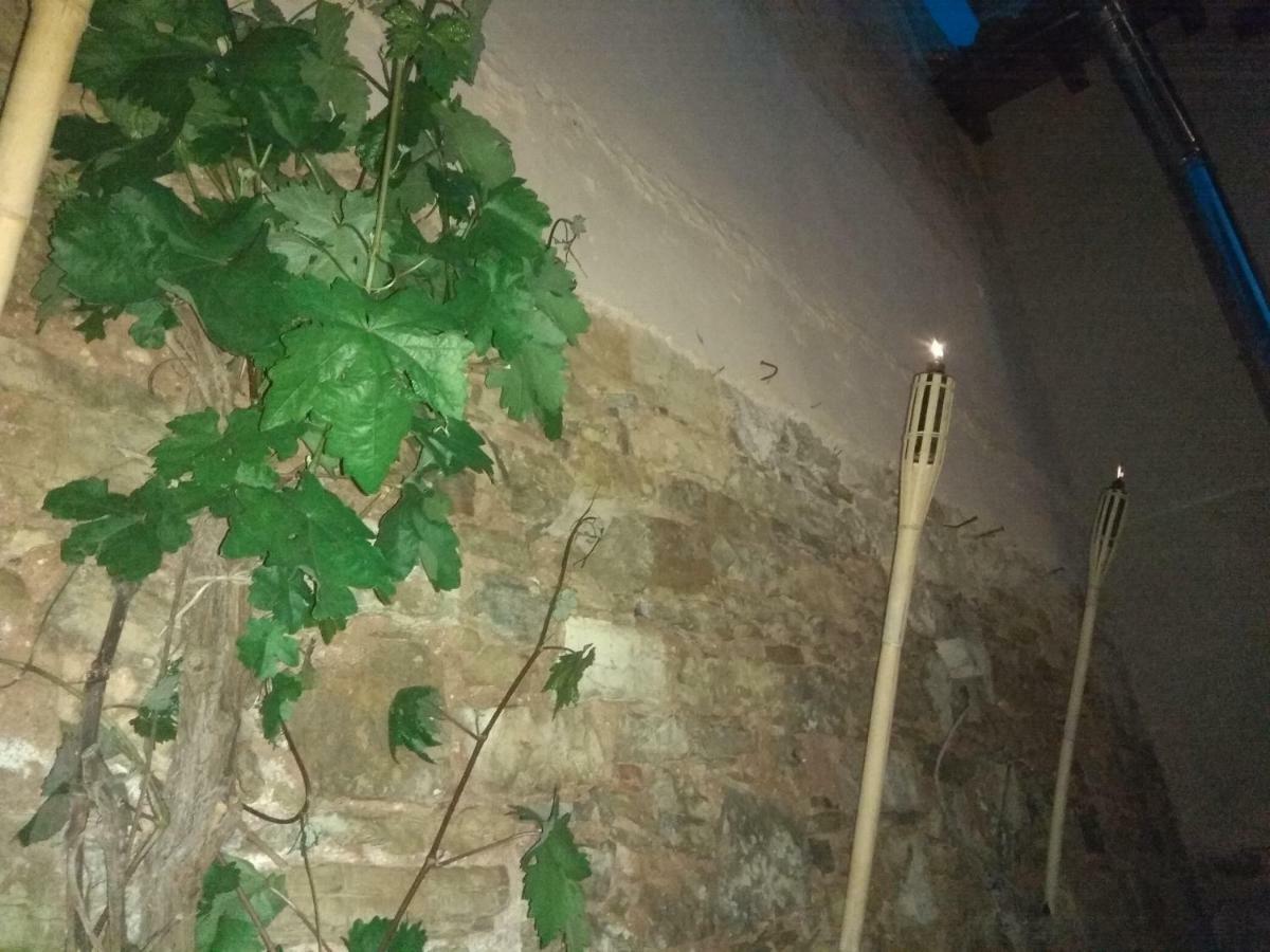 Séjour à la campagne El Corralon - En